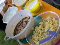 26-08-30 Grillen