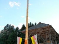 11maibaum
