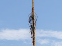 26-06-21 Gausingen